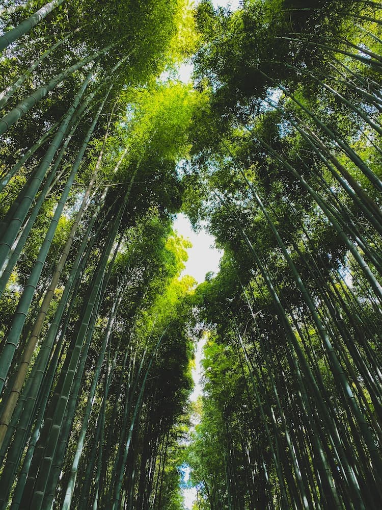 Kyoto